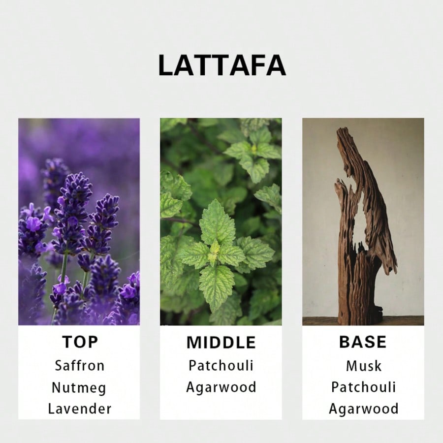 Lattafa Badee Al Oud For Glory - огляд і ціна Perfume For Fragrance
