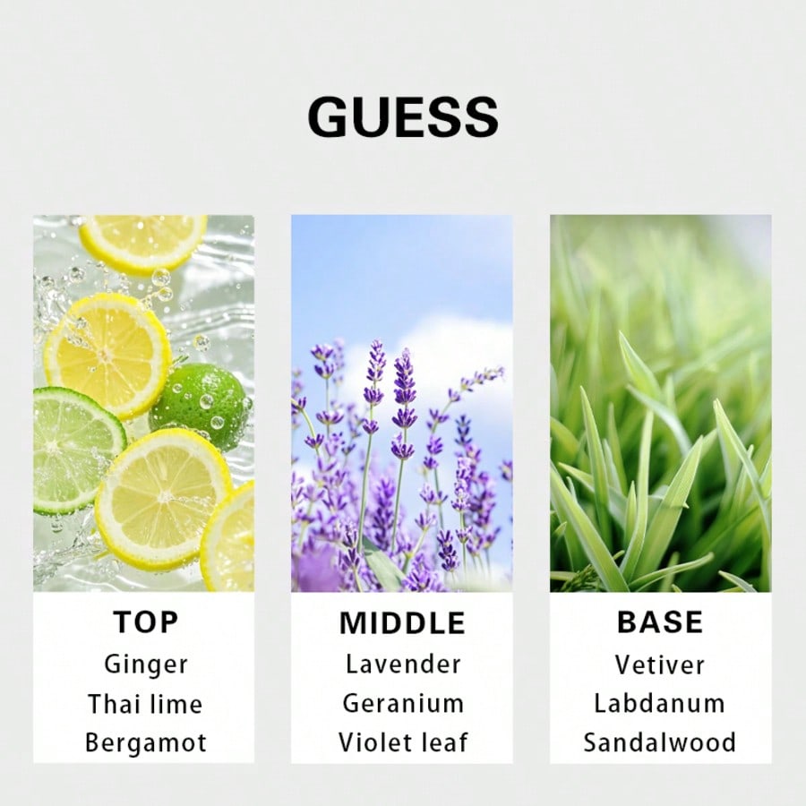 Guess Forever men Eau De Toile - огляд і ціна Fragrance Perfume Note